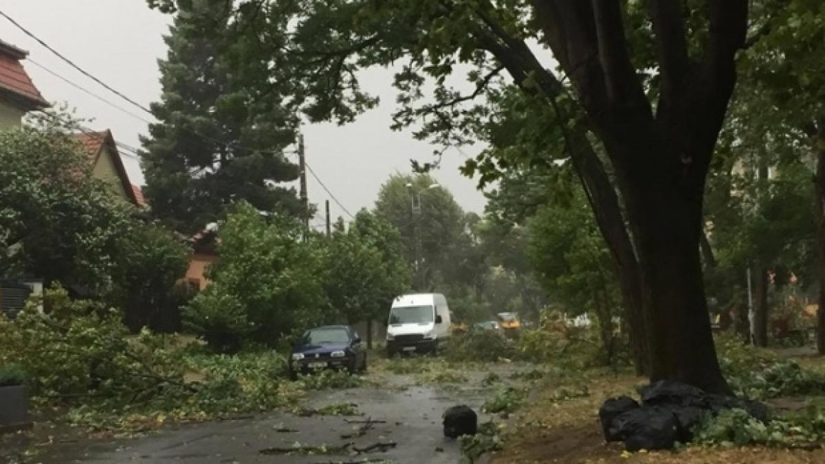 ministerul energiei mii de gospodarii fara curent electric din cauza vremii severe