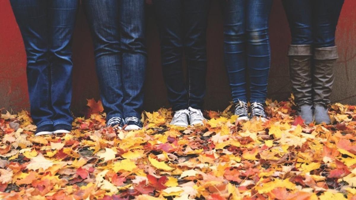 paseste in toamna cu adidasii b mall ro p