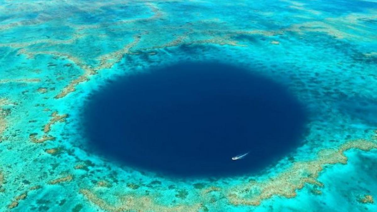 o echipa de scafandri a coborat pentru prima data in gaura albastra din marea bariera de corali