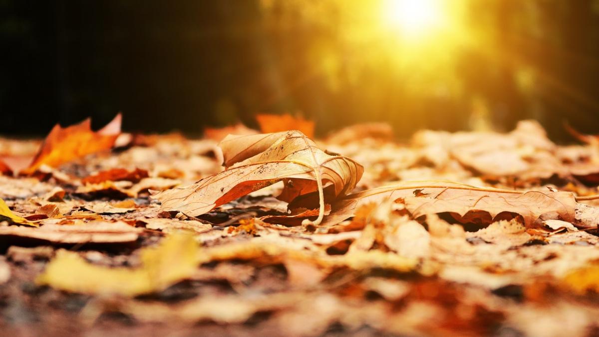 prognoza meteo cand se incalzeste vremea