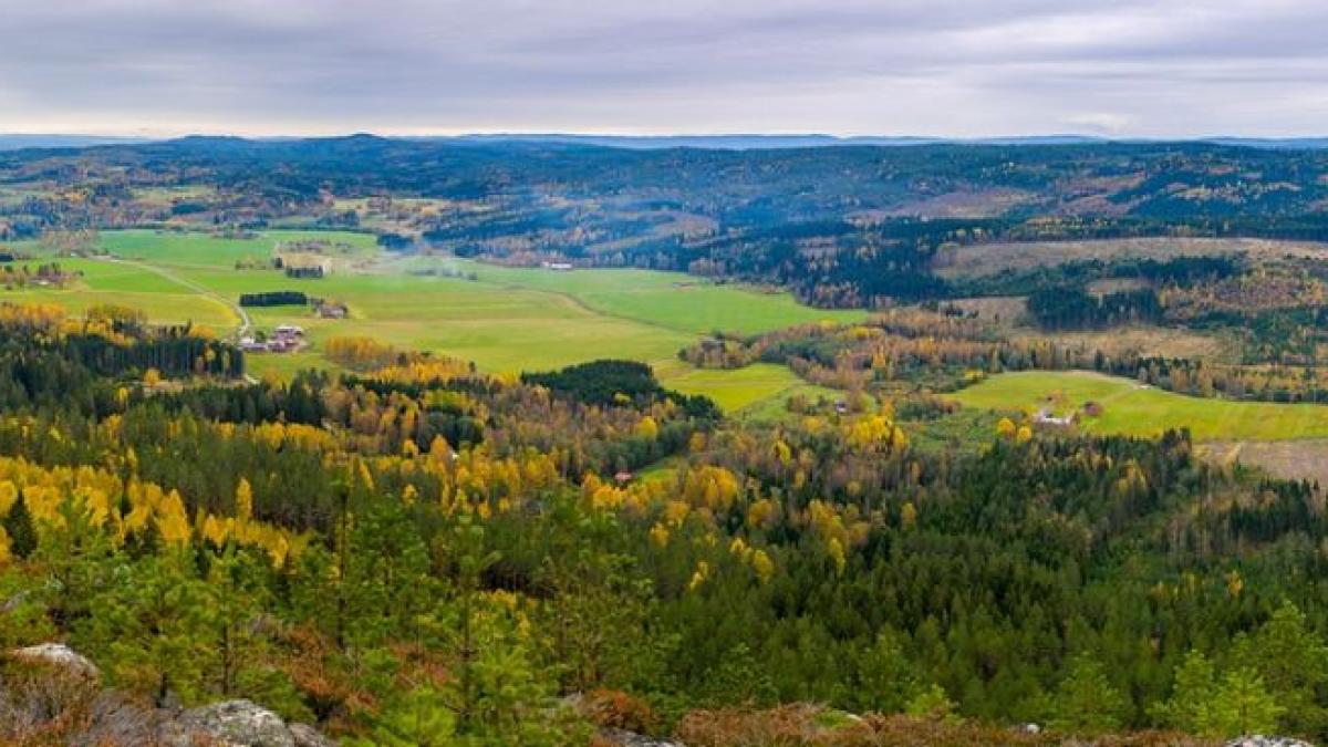 satul din romania unde o casa costa cat un salariu mediu