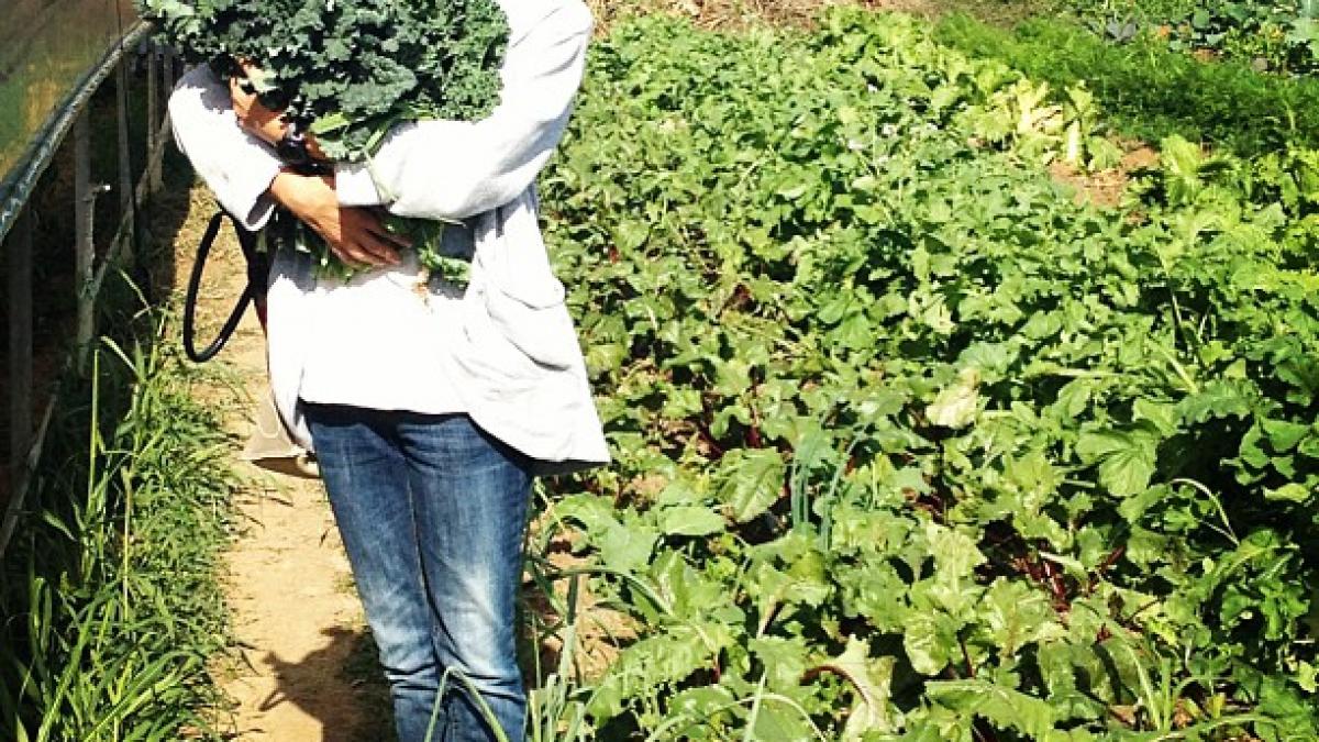 olivia steer despre momentul in care fiul sau i a spus ca nu mai vrea sa fie vegetarian intr o zi