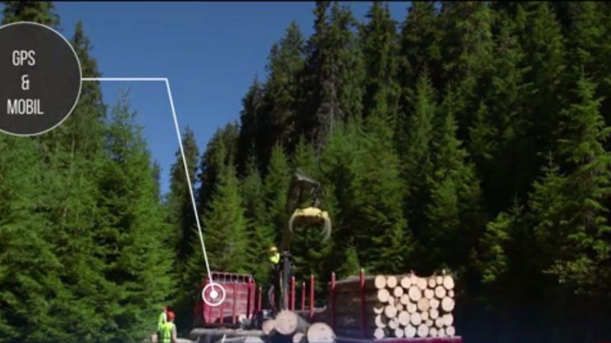 aplicatie gps pentru transporturile de lemne