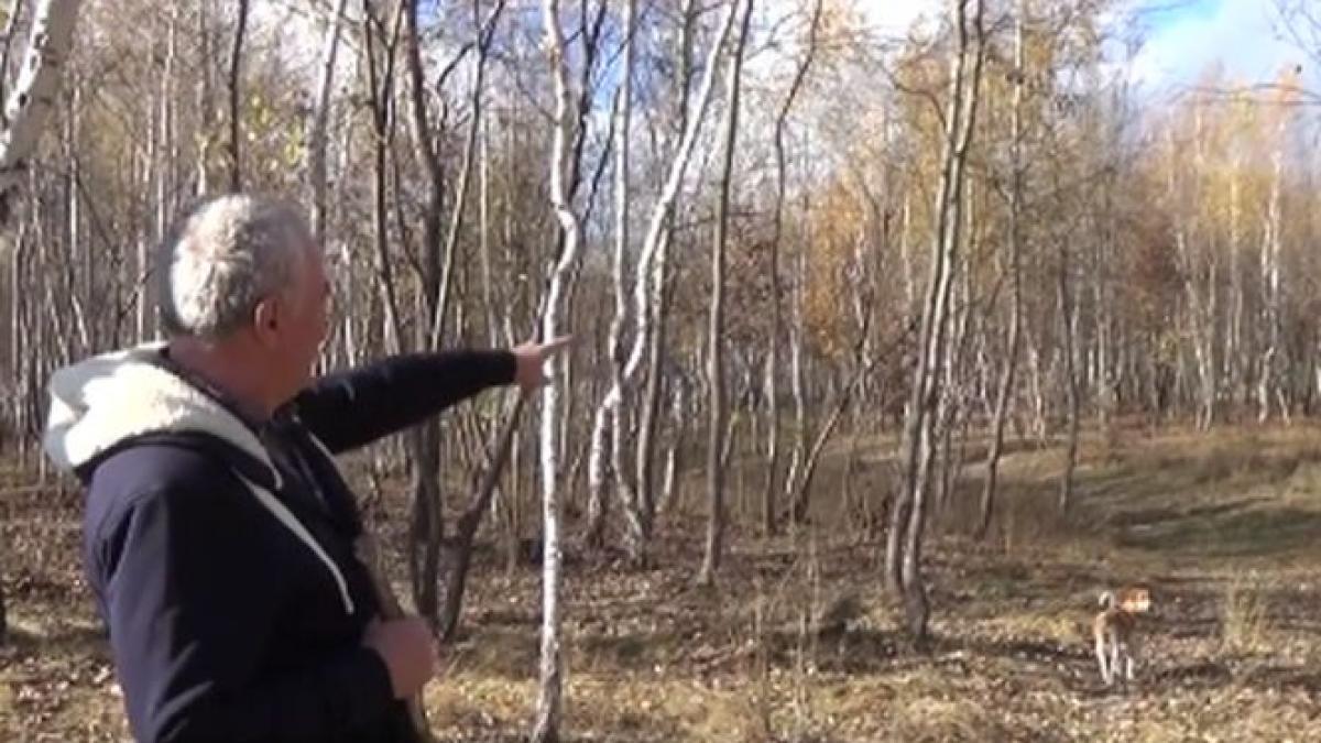 comoara din spatele casei o familie din sangeorz bai a gasit chiar langa casa diamantul pamantului