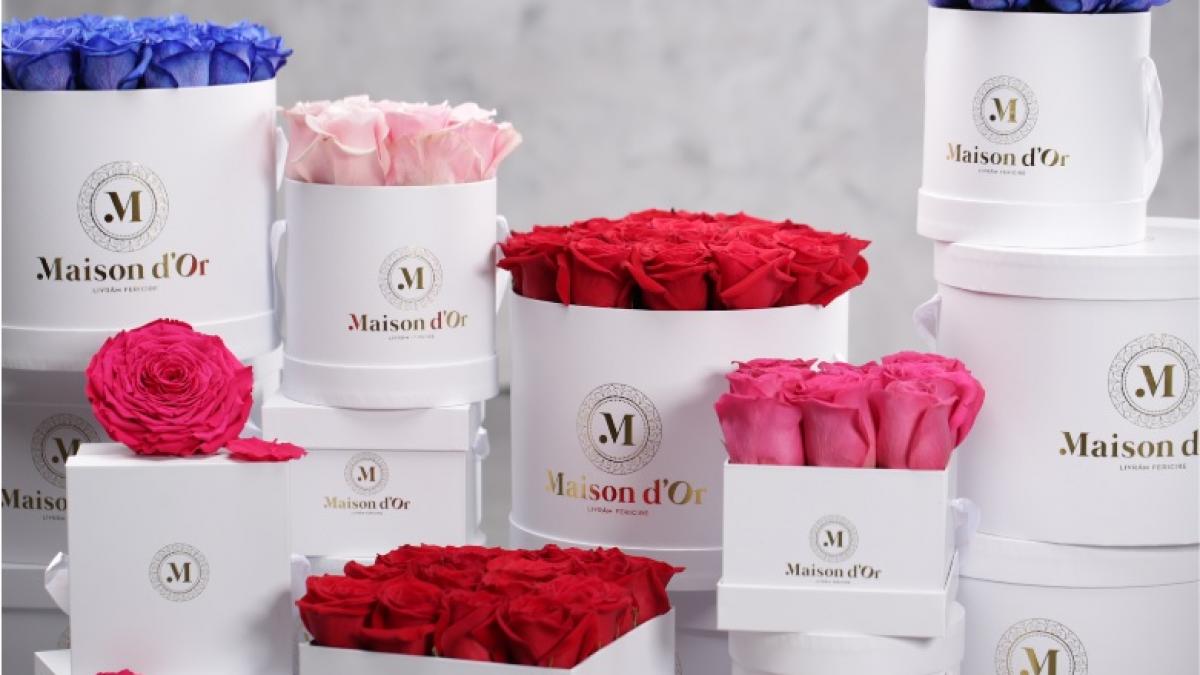 maison d or floraria unde se scriu povesti din petale p