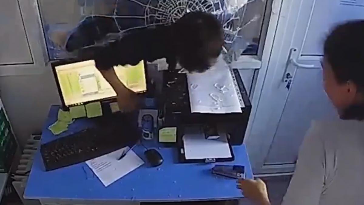 video imagini socante filmul complet al jafului unei case de schimb valutar