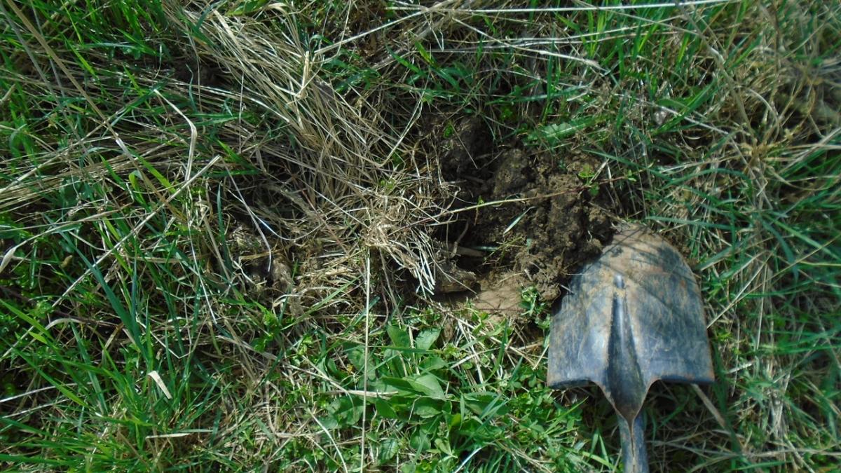 a sunat ingrozit la politie veniti repede in gradina mea e o bomba cand au ajuns politistii au ras