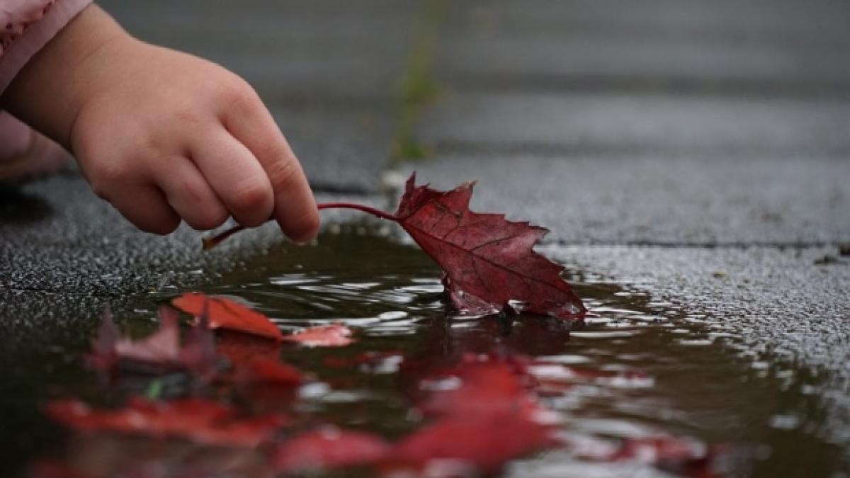 prognoza meteo cum va fi vremea in weekend