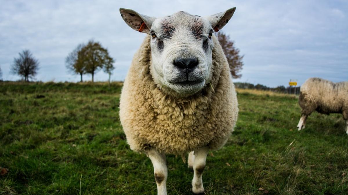 miorita risc de securitate in regiune bucurestiul si washingtonul se chinuie de trei ani sa scape