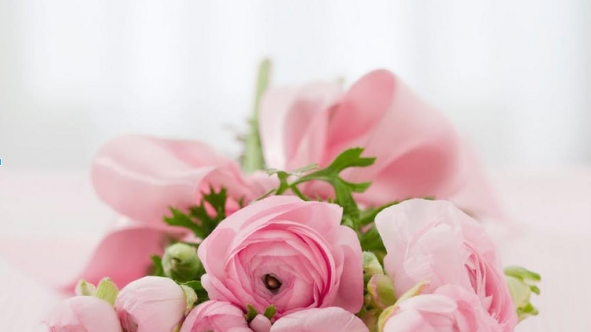 5 tipuri de flori de care te poti bucura mai mult timp