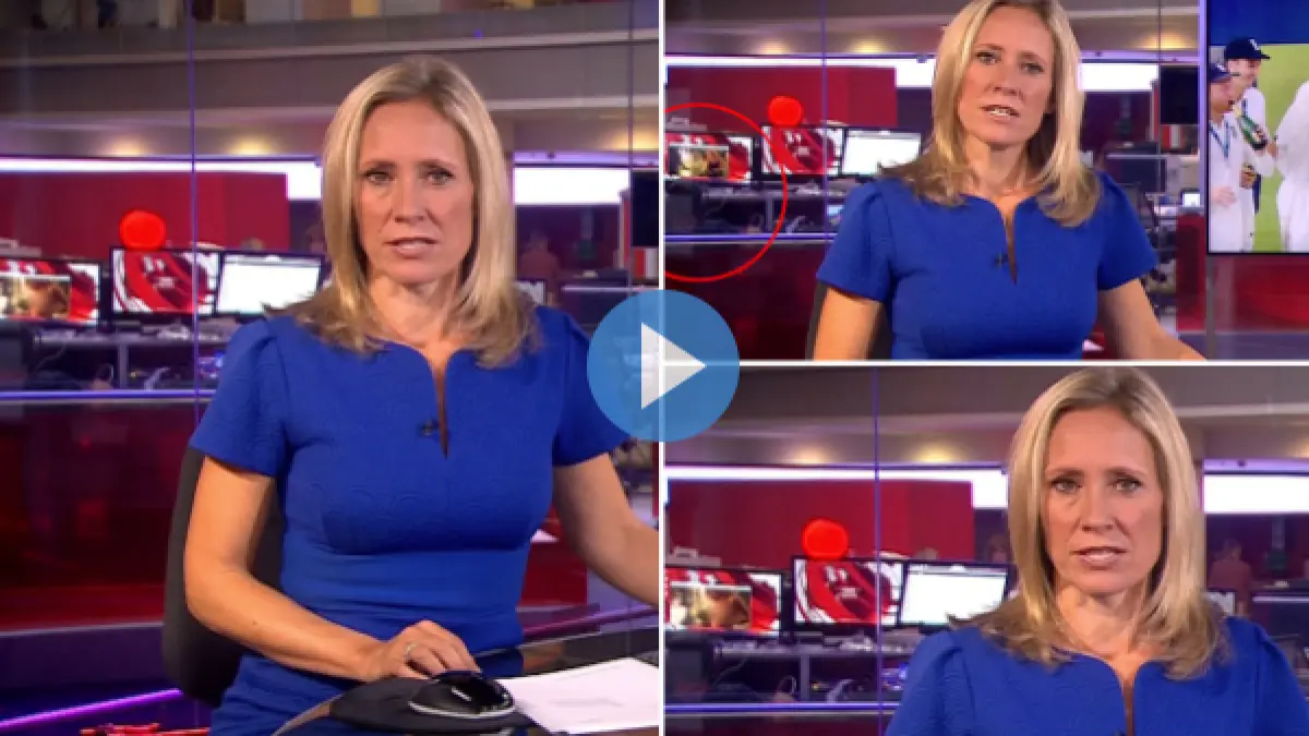 cum au fost surprinsi angajatii bbc la munca fotografiile au ajuns virale