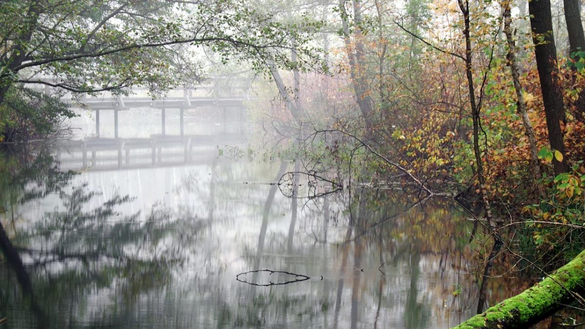 noi avertizari meteo de la anm cod galben de vreme rea in urmatoarele ore