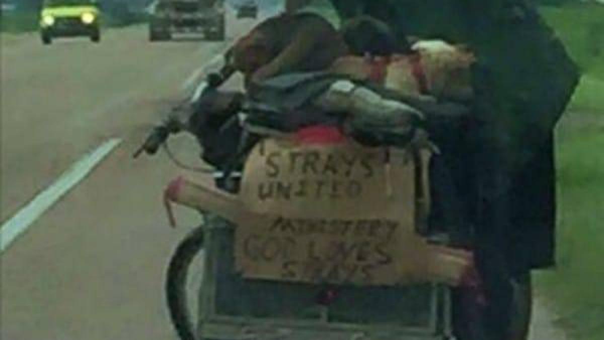 se afla in masina cand a vazut pe drum un om al strazii carand intr un carucior atasat la bicicleta