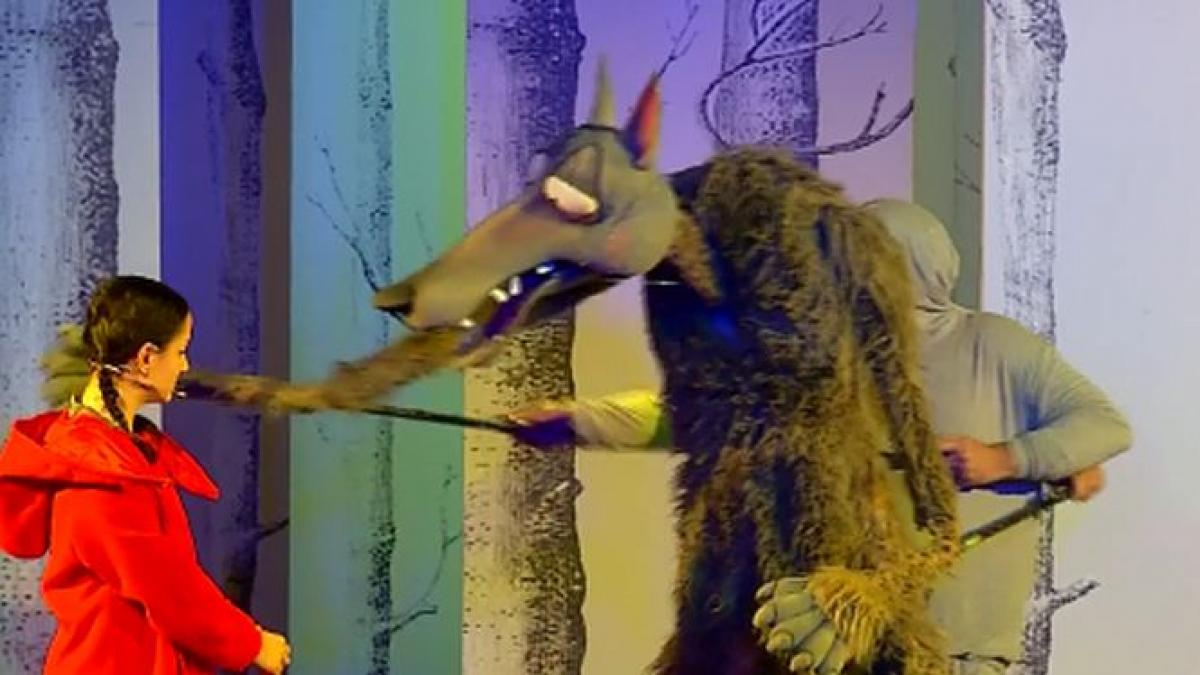 impuls cel mai important festival de teatru de animatie din romania a inceput organizatorii au