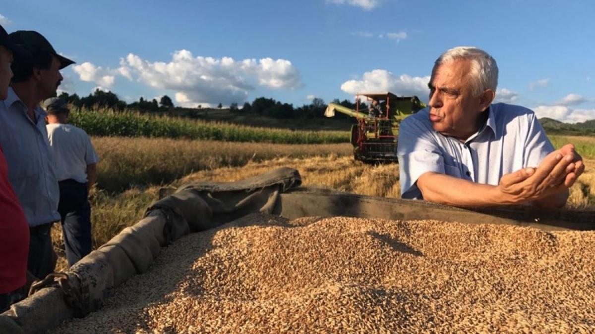 rostirile lui petre daea catre crescatorii de oi din sibiu ciobanii isi lasa casele facute din