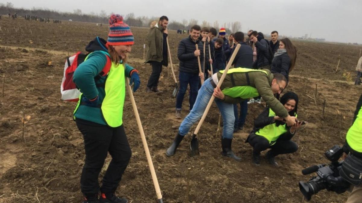 ce nu s a vazut la televizor de la marasesti la plantarea celor 50 000 de stejari