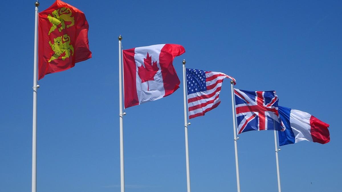 de ce aceasta culoare este intalnita extrem de rar pe steaguri