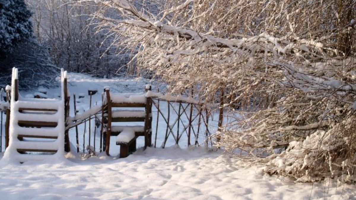 iarna va veni in forta chiar din decembrie vor fi nopti de inghet cu temperaturi de 25 de grade