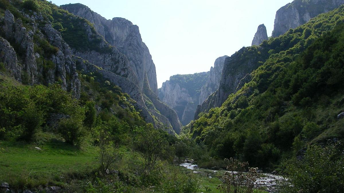 cotidianul american usa today romania e din basme