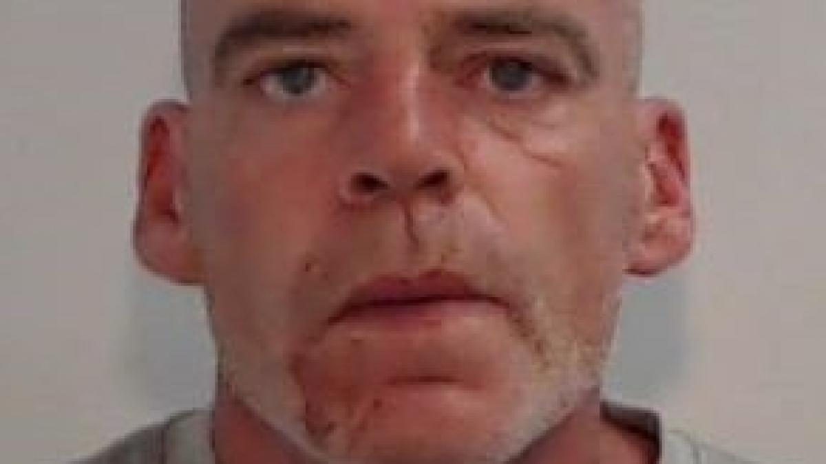 a iesit pentru putin timp de acasa dar cand s a intors a crezut ca innebuneste iubita sa cum a fost