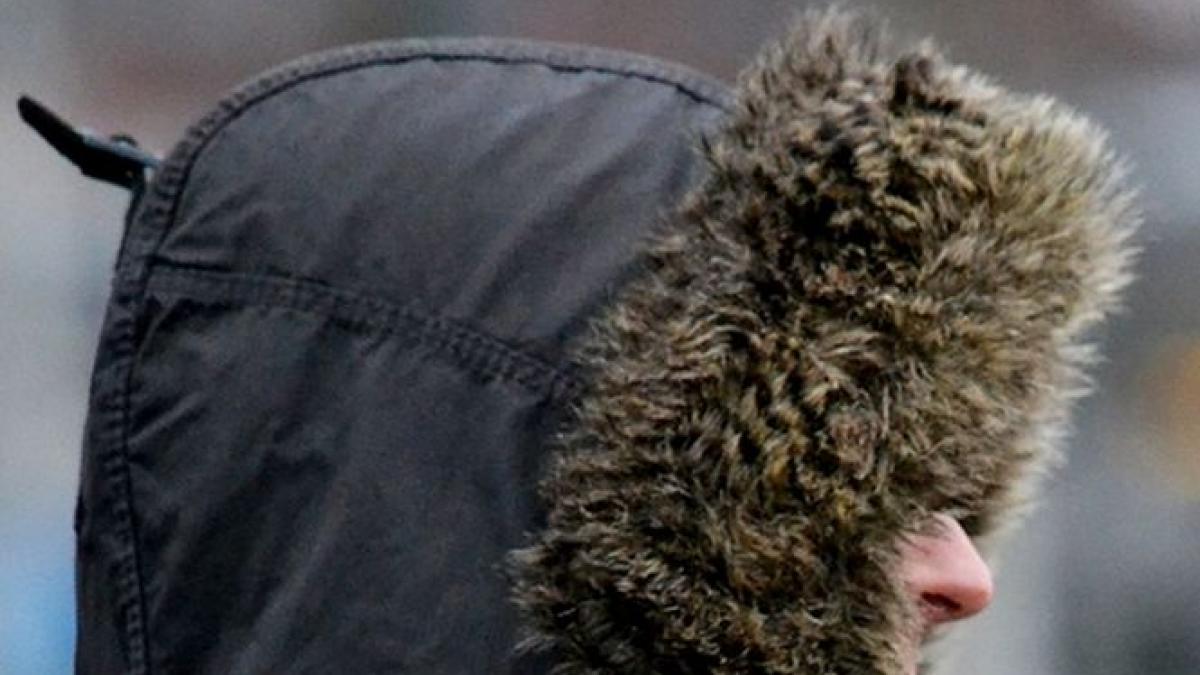 obsesiile criminalului care si a ucis cu ciocanul fostul coleg de scoala generala