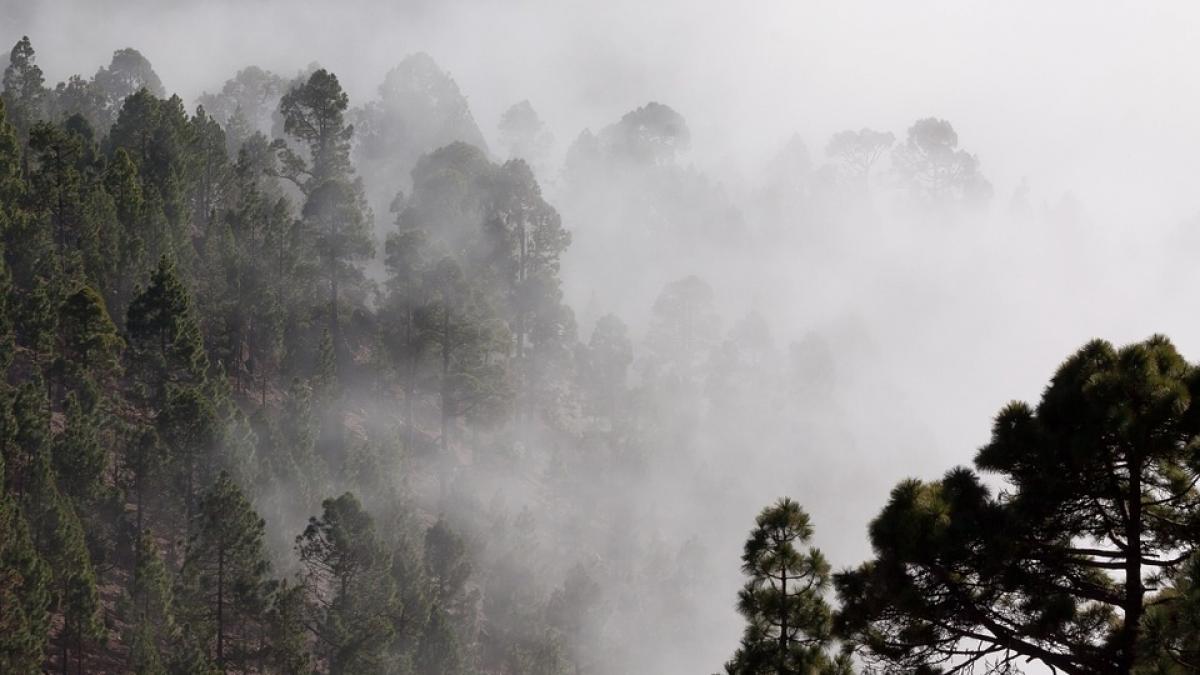 meteorologii anunta cod galben de ceata in 21 de judete si in capitala