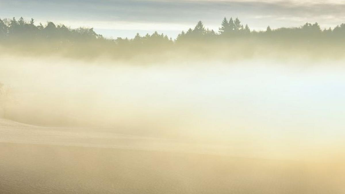 cod galben de ceata in opt judete pana la ora 23 00