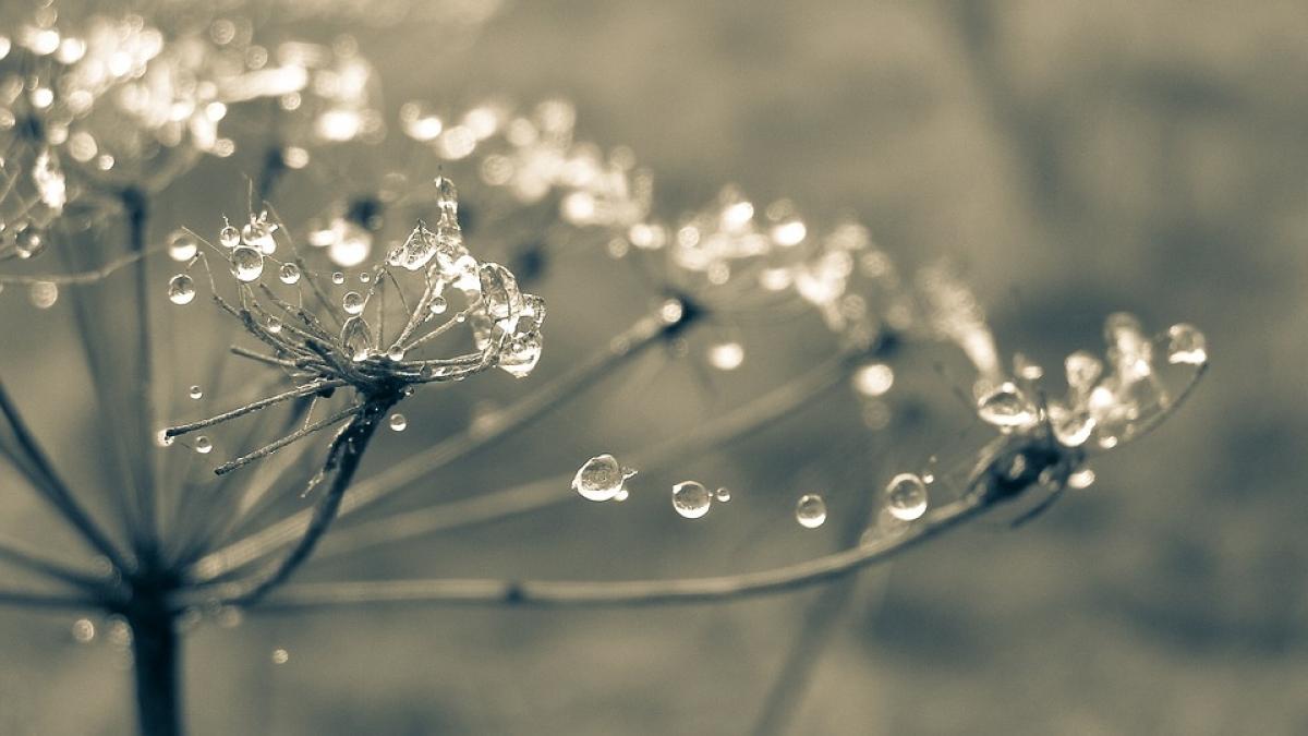 avertizare de fenomene periculoase ce judete sunt vizate