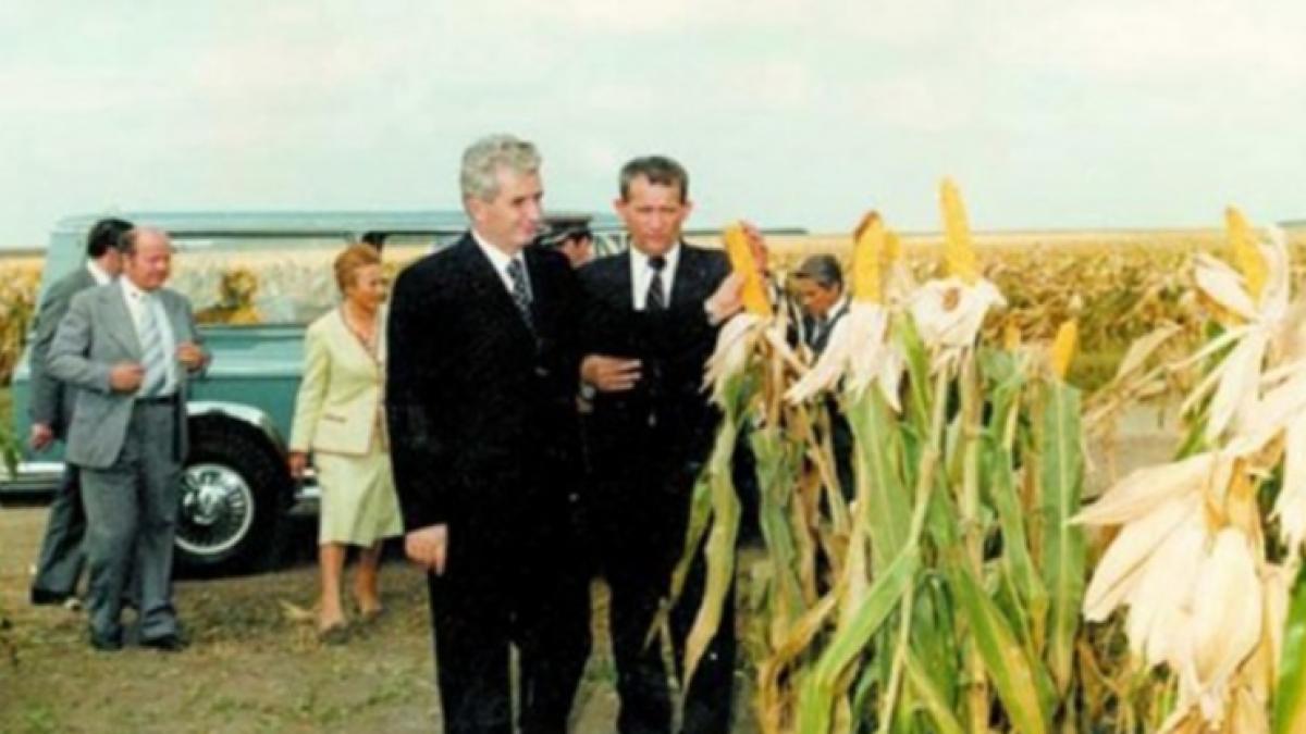 a fost sau n a fost romania granarul europei cum se masluiau in comunism productiile pentru planul