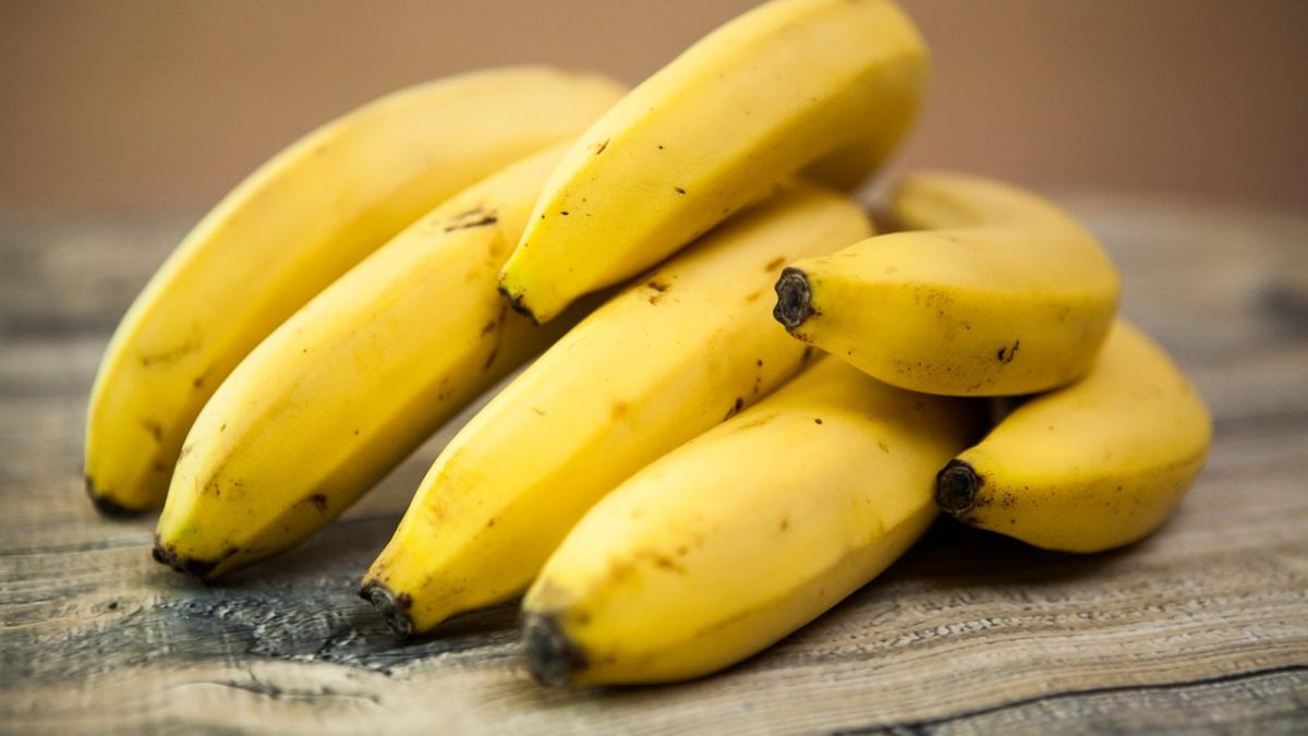 bananele pot disparea de pe piata un virus care circula prin intreaga lume distruge culturile