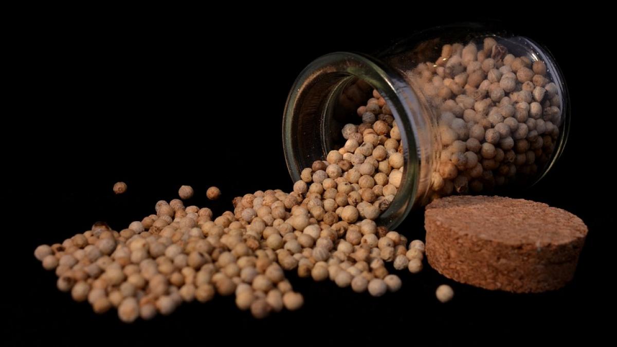 ce se intampla in corpul tau dupa ce iei trei boabe de piper dimineata pe stomacul gol