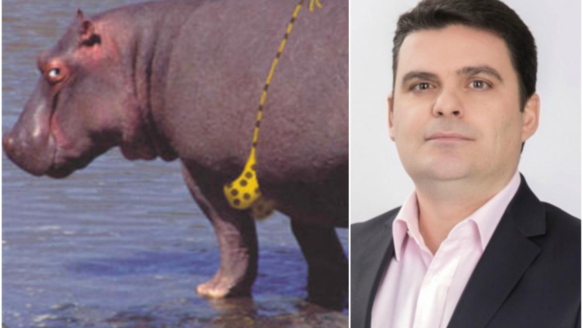 radu tudor huoooo jos strainii sus izmenele jos bikinii