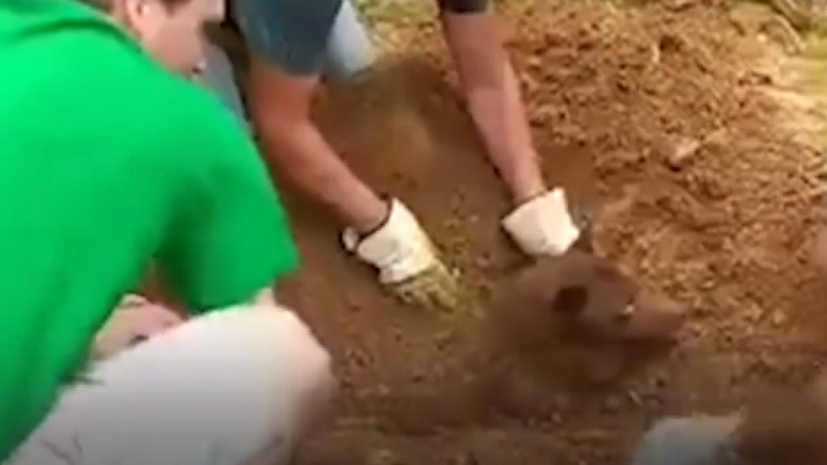 a fost ingropata de vie insa niste oameni buni au salvat o clipul video care a impresionat milioane