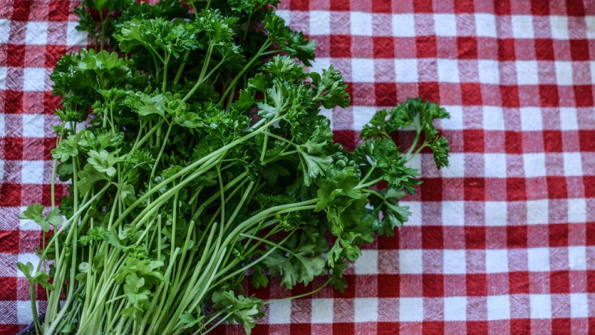 salata de patrunjel verde care te ajuta sa slabesti rapid si sanatos