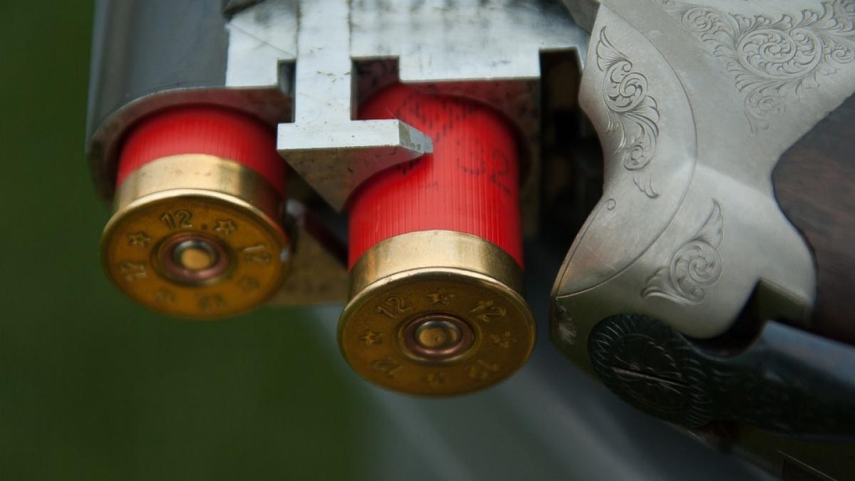 tragedie la petrila un tanar si a chemat prietenul politist sa alunge un mistret iar barbatul i a