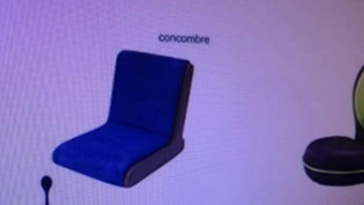 a comandat un fotoliu superb pe internet cand i a venit pachetul i a picat fata ce era inauntru foto