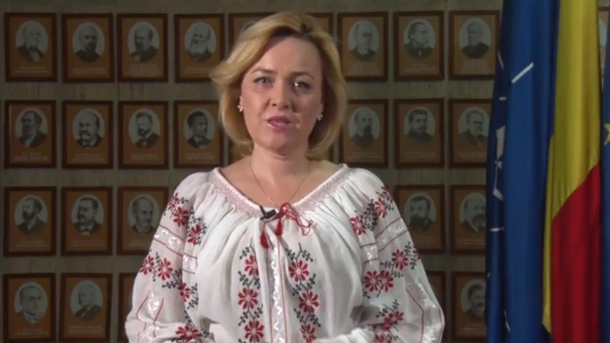 carmen dan ministrul de interne mesaj de ziua nationala