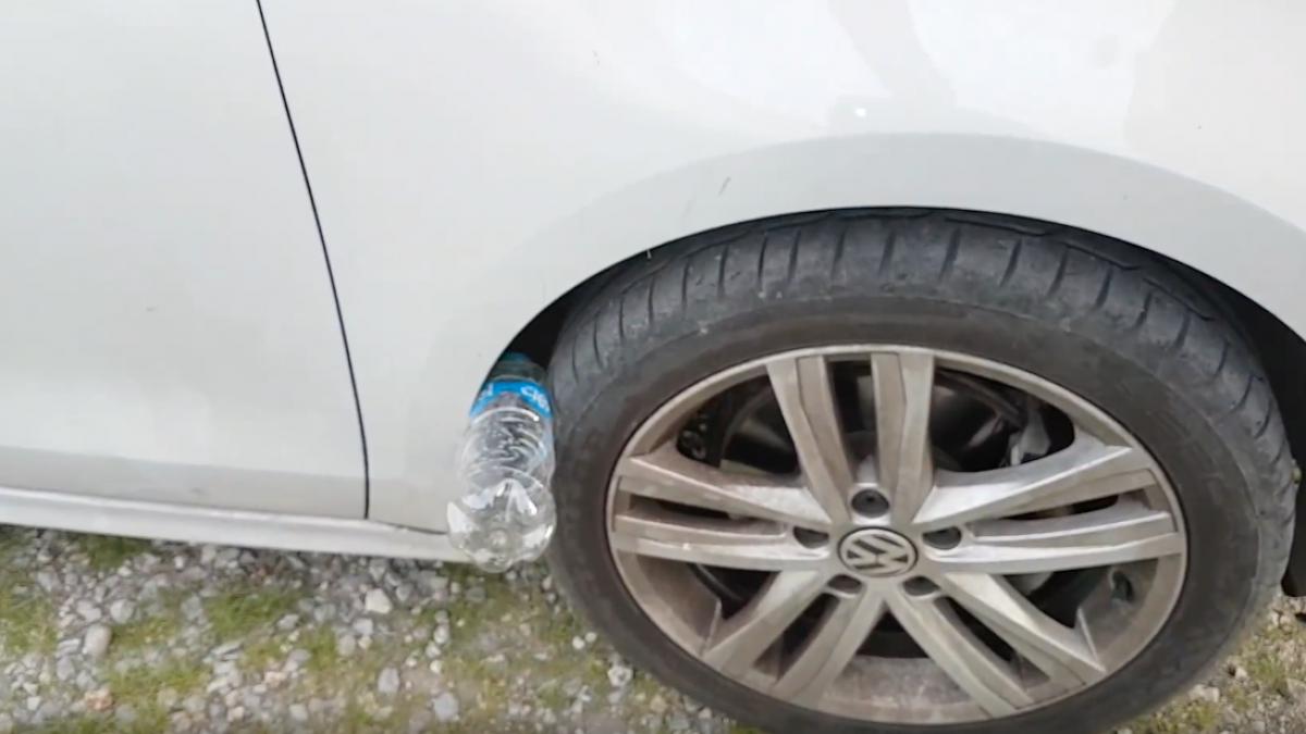 ce se intampla daca gasesti un pet bagat la roata masinii atentie mare poti fi in pericol video