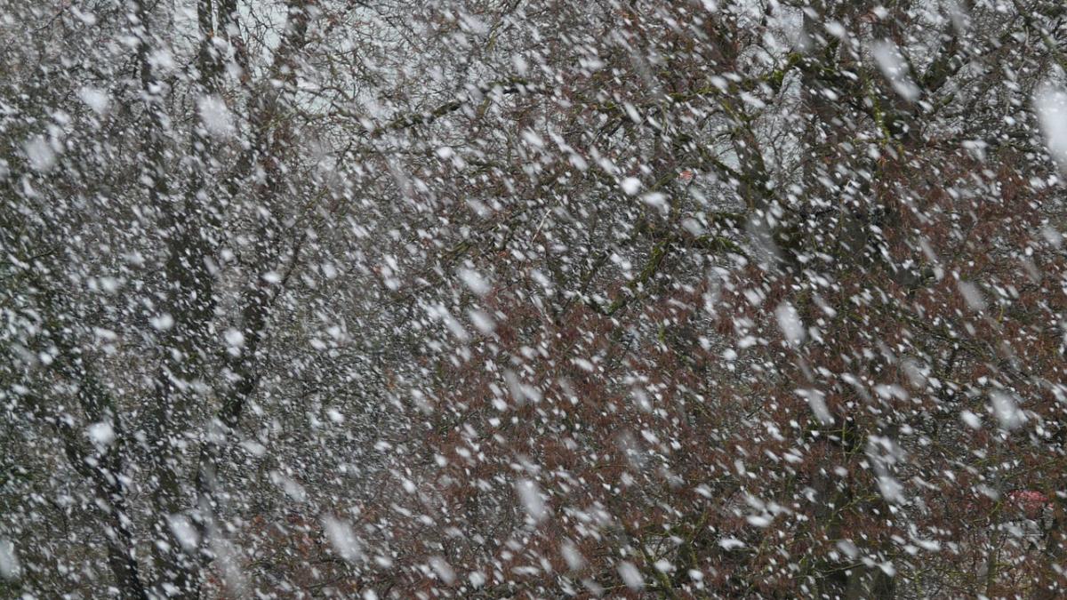 cod galben de viscol in urmatoarele ore ce judete sunt vizate