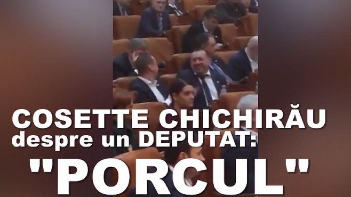 noi jigniri incalificabile in parlamentul romaniei cosette chichirau despre catalin radulescu s a