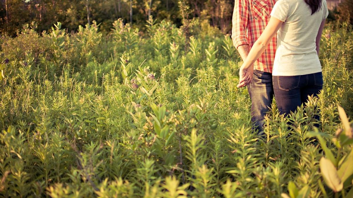 top 6 zodii care isi vor gasi marea dragoste online in 2018