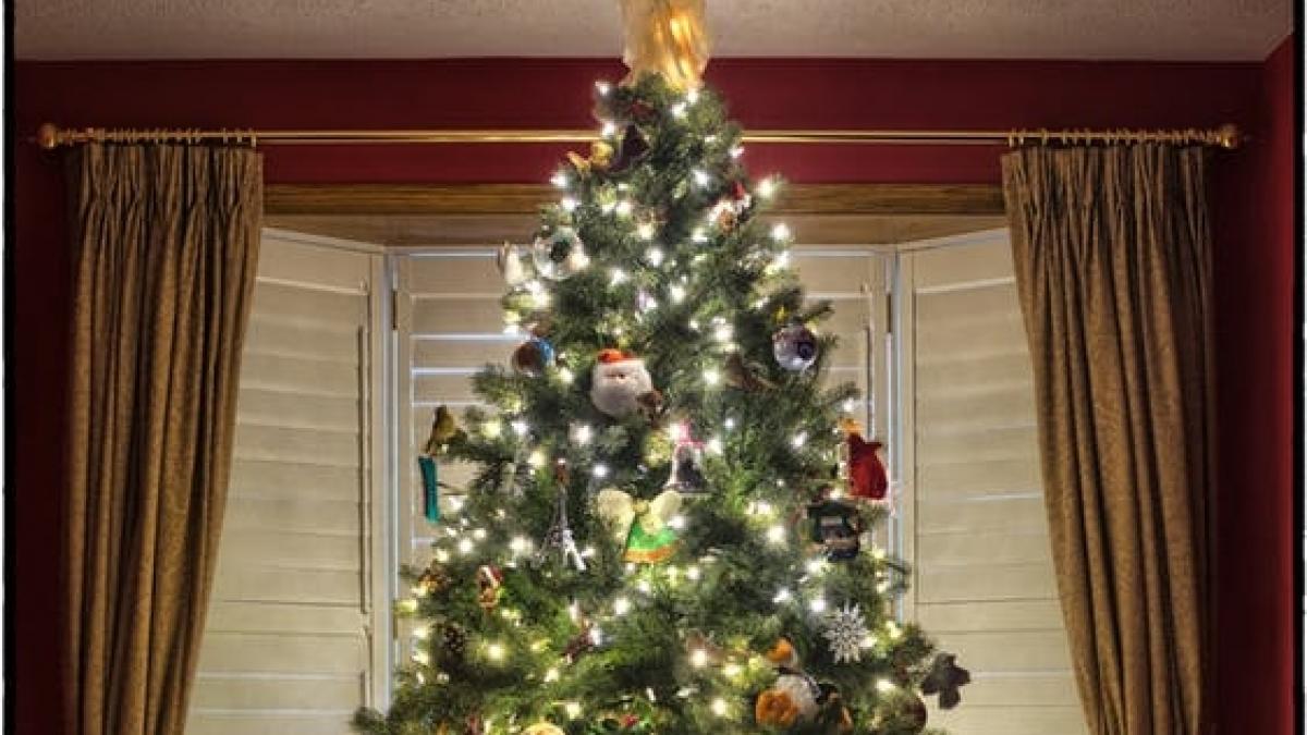 casa le a luat foc in timp ce dormeau din cauza instalatiilor de craciun cum a fost posibil