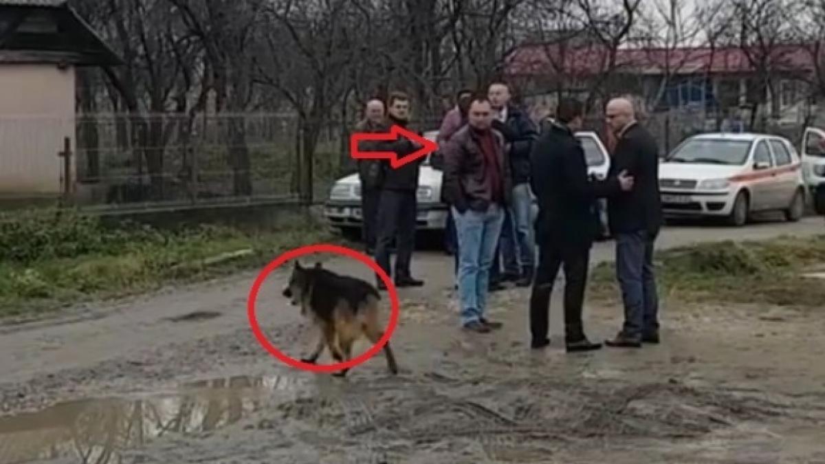 noi informatii in cazul triplului asasinat de la satu mare procurorii au imagini uluitoare cu fiul