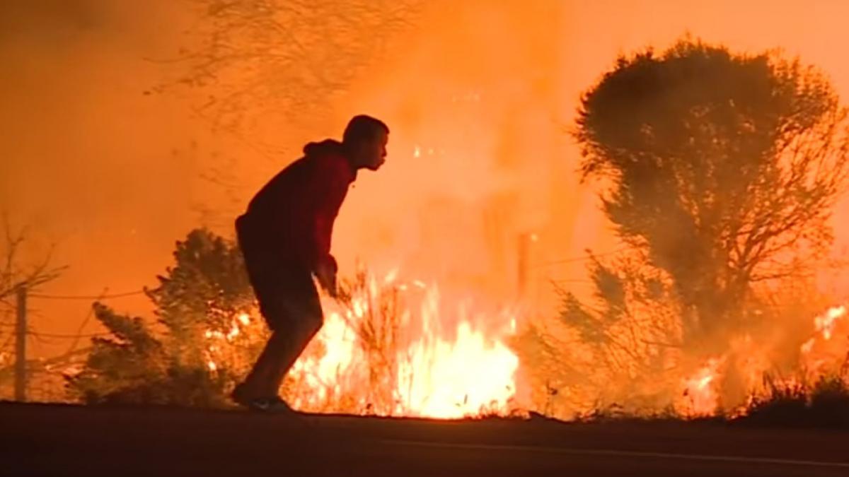 si a riscat viata pentru a salva un iepuras in timpul unui incendiu imens imagini impresionante