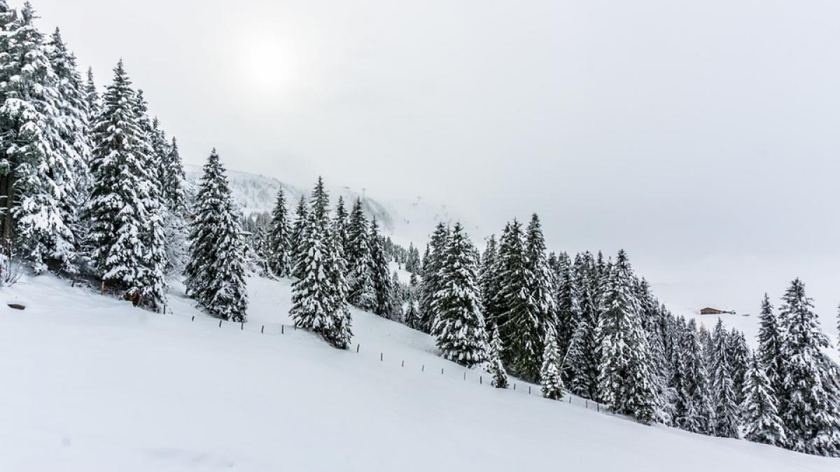 Avertisment de la meteorologi: Cod galben de ninsori și viscol, în jumătate de țară. Prognoza meteo