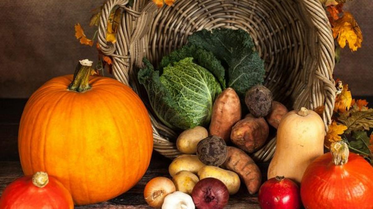 acesta este singurul aliment vegetal care contine vitamina b12 este un adevarat miracol pentru