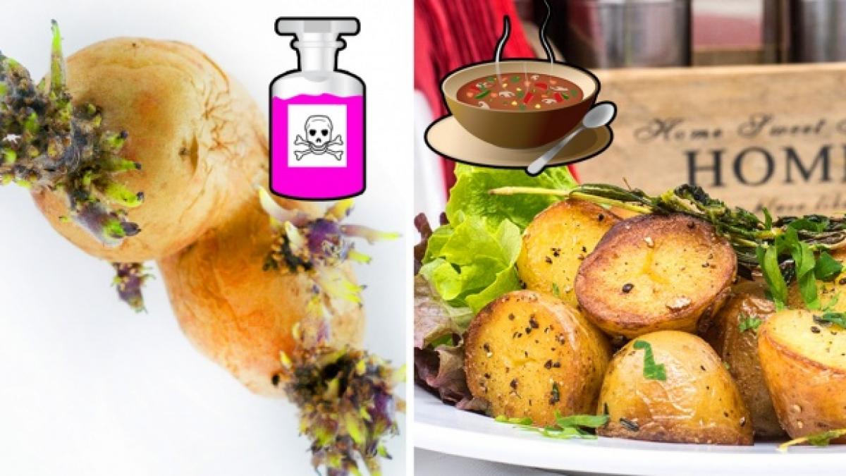 cand devin cartofii toxici nu ii mai consuma niciodata daca vezi asa ceva pe ei