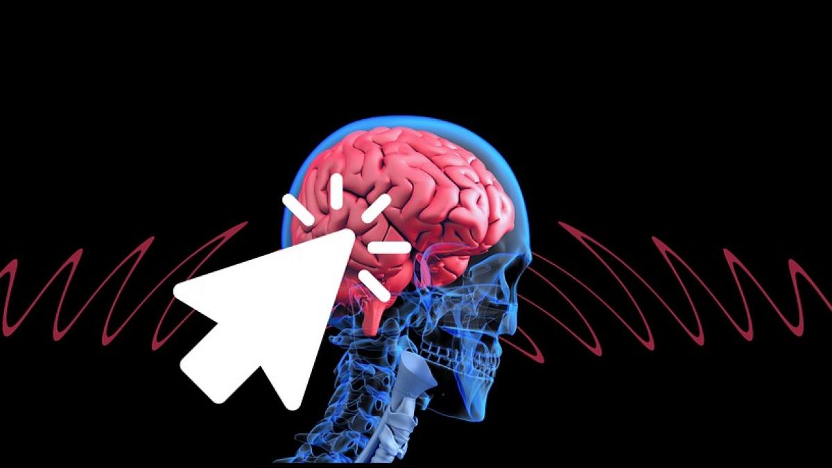 ce se intampla cu creierul dupa ce mori sigur nu te ai fi asteptat la asta