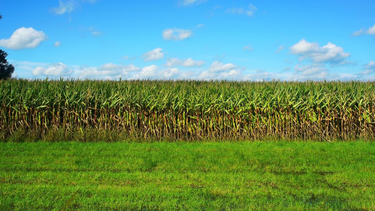 anuntul eurostat care bucura toti romanii romania pentru prima data pe locul intai in europa la