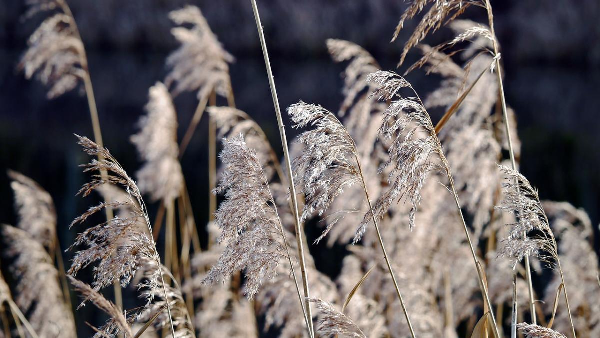 alerta meteo cod galben pentru mai multe judete ale tarii